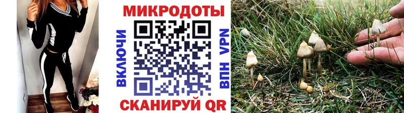 Галлюциногенные грибы Magic Shrooms  Сергач 